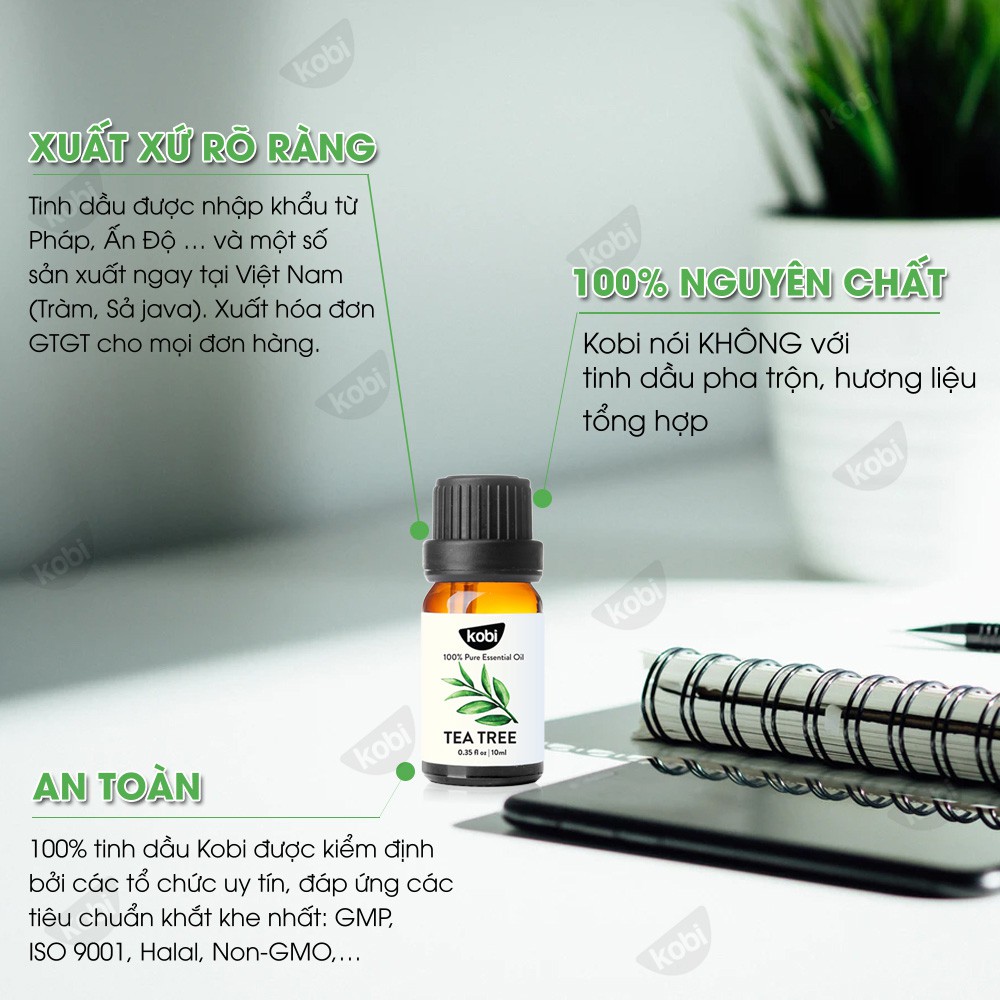 Tinh dầu Tràm Trà Kobi Tea tree essential oil - 10ml
