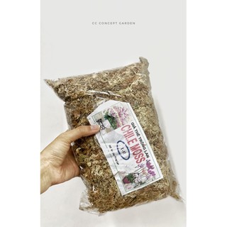 Giá Thể Trồng Cây | Dớn Chi Lê | Túi 100g