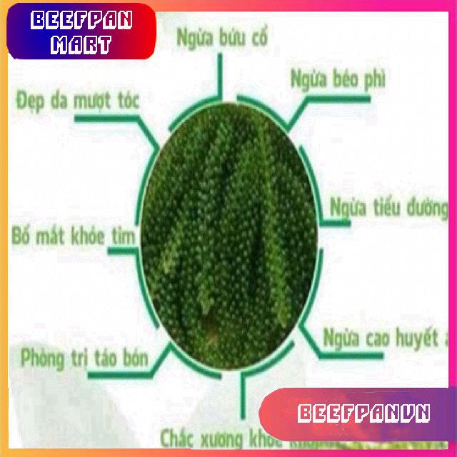 Combo 10 Gói Rong Nho Tách Nước Khánh Hoà 25Gr - Giàu Dinh Dưỡng - Công Nghệ Tách Nước Tiêu Chuẩn Nhật Bản | BigBuy360 - bigbuy360.vn