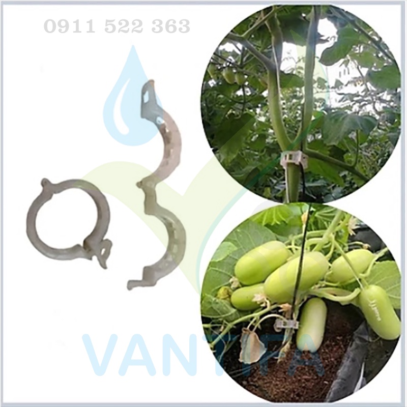 Đai Kẹp thân Dưa lưới