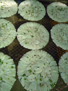 BÁNH TRÁNG MỰC SỮA