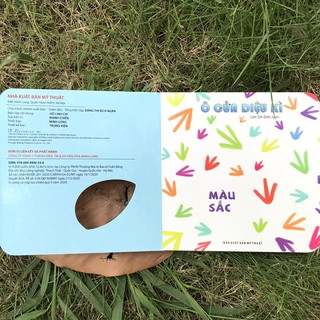 Ô Cửa Diệu Kì - Màu Sắc