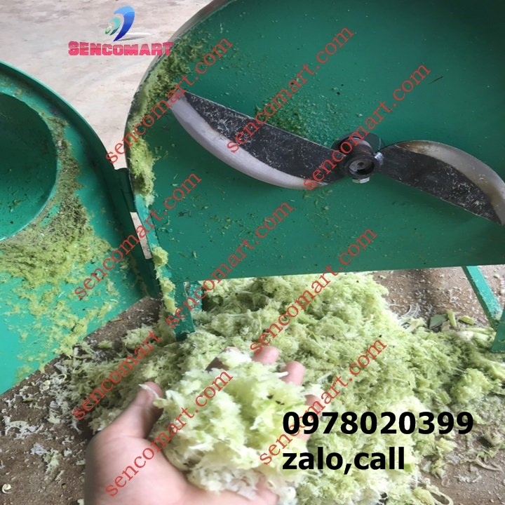 ĐỊA CHỈ BÁN MÁY XẮT CHUỐI NHỎ MỊN SỐ 1 TẠI VIỆT NAM