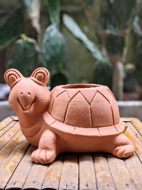 Chậu đất nung trồng cây