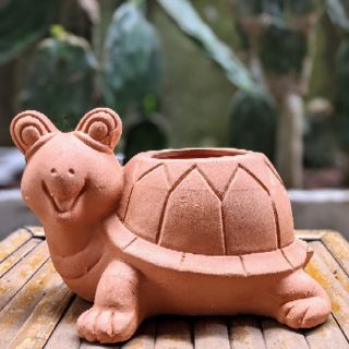 Chậu đất nung trồng cây