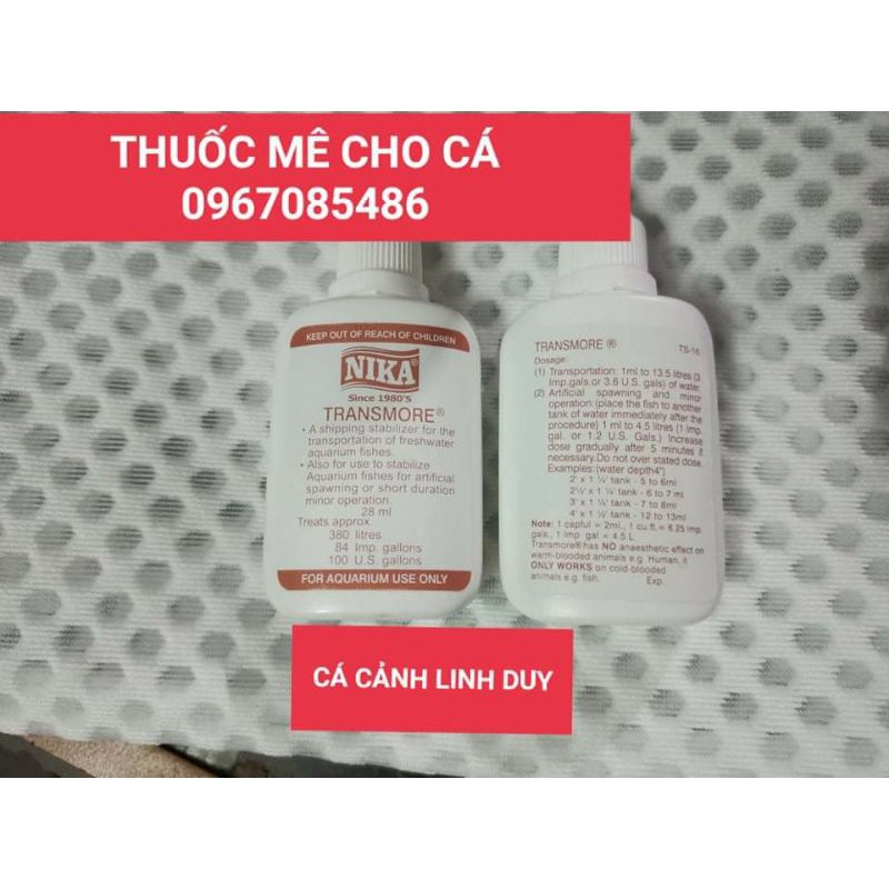 thuốc  mê  cho cá rồng