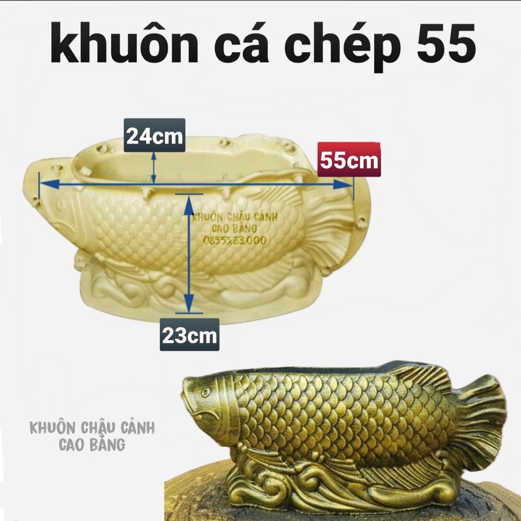 khuôn đúc chậu cảnh cá chép dài 55 rộng 24 cao 23 (khuôn ABS có lòng trong)