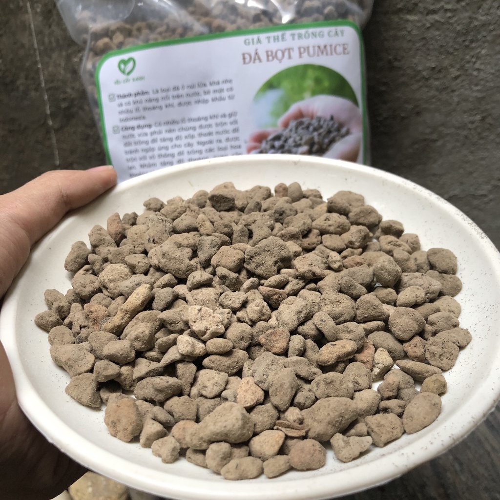 Đá Pumice cực tốt cho sen đá, cây kiểng.