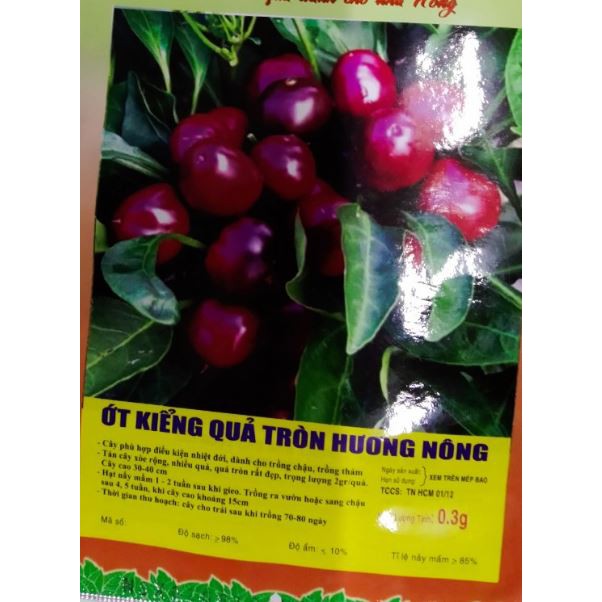 HẠT GIỐNG ỚT KIỂNG QUẢ TRÒN - GÓI 0,3 GRAM