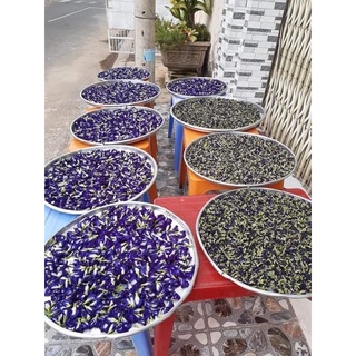 hoa đậu biếc (trà hoa đặc biệt )