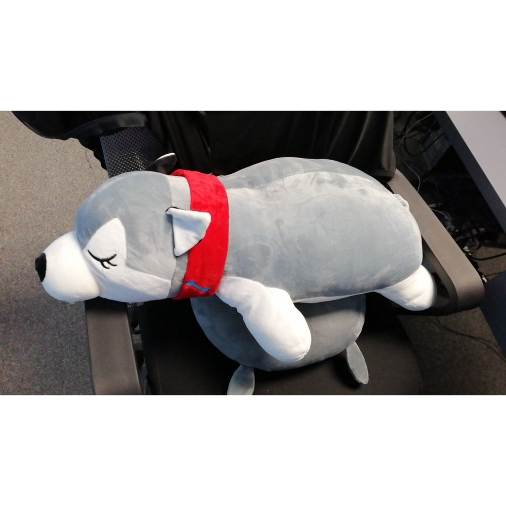 Bộ chăn gối văn phòng gấu bông có chăn hình Chó Husky, Mèo, Heo, chuột, hoa quả trái cây, rùa, Pony Anvihome