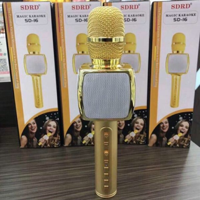 Mic hát karaoke SD-16