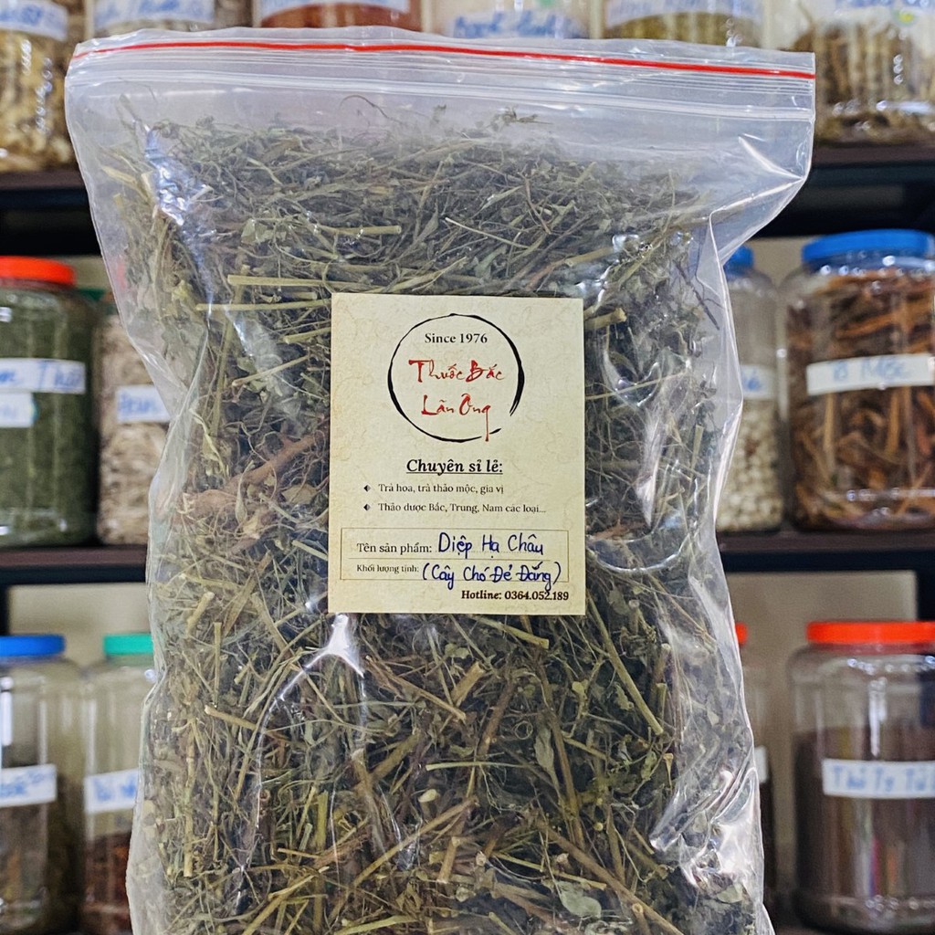 [Hàng Loại I] Chó Đẻ Đắng (Diệp Hạ Châu) 500g