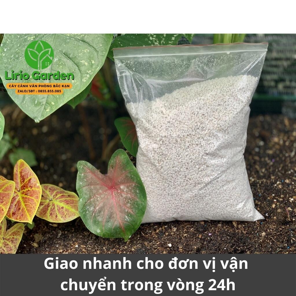 500g đá perlite , đá trân châu trồng cây