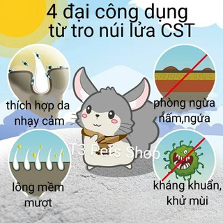 tro núi lửa CST dành cho hamster, sóc,chinchila