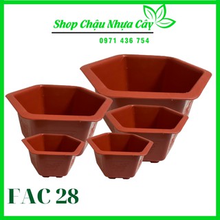 Chậu nhựa lục giác fac 28, trồng cây