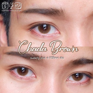 Kính Áp Tròng CHADA GRAY - BROWN ( contact lens )