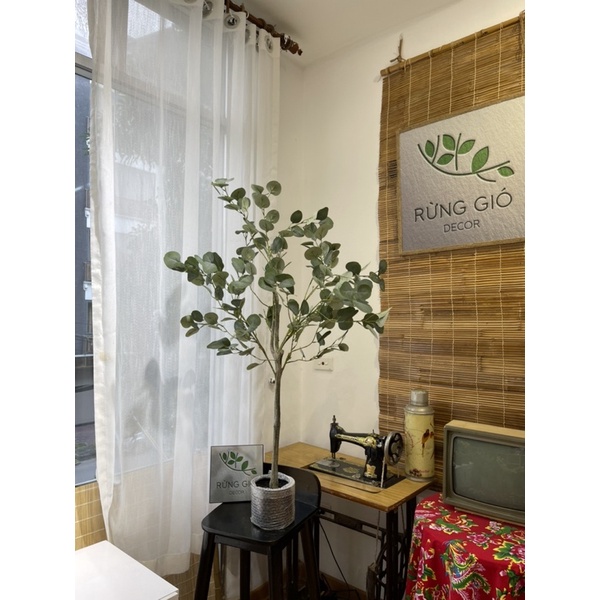 Cây Lá Táo, Bạch Đàn giả trang trí - Decor ngôi nhà đẹp hơn