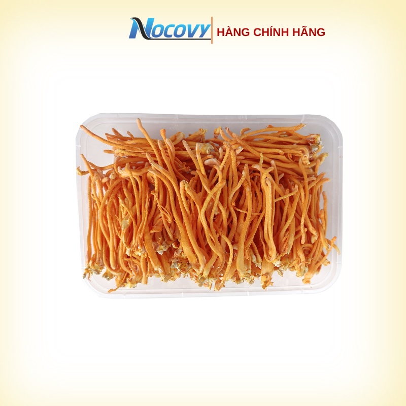 Đông trùng hạ thảo tươi nguyên sợi Nocovy hữu cơ hàng chuẩn, bảo hành tốt