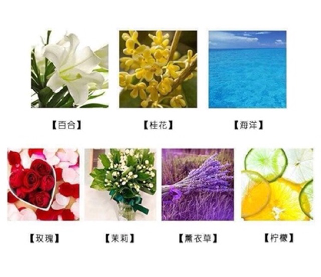 Nước hoa để phòng | Thế Giới Skin Care