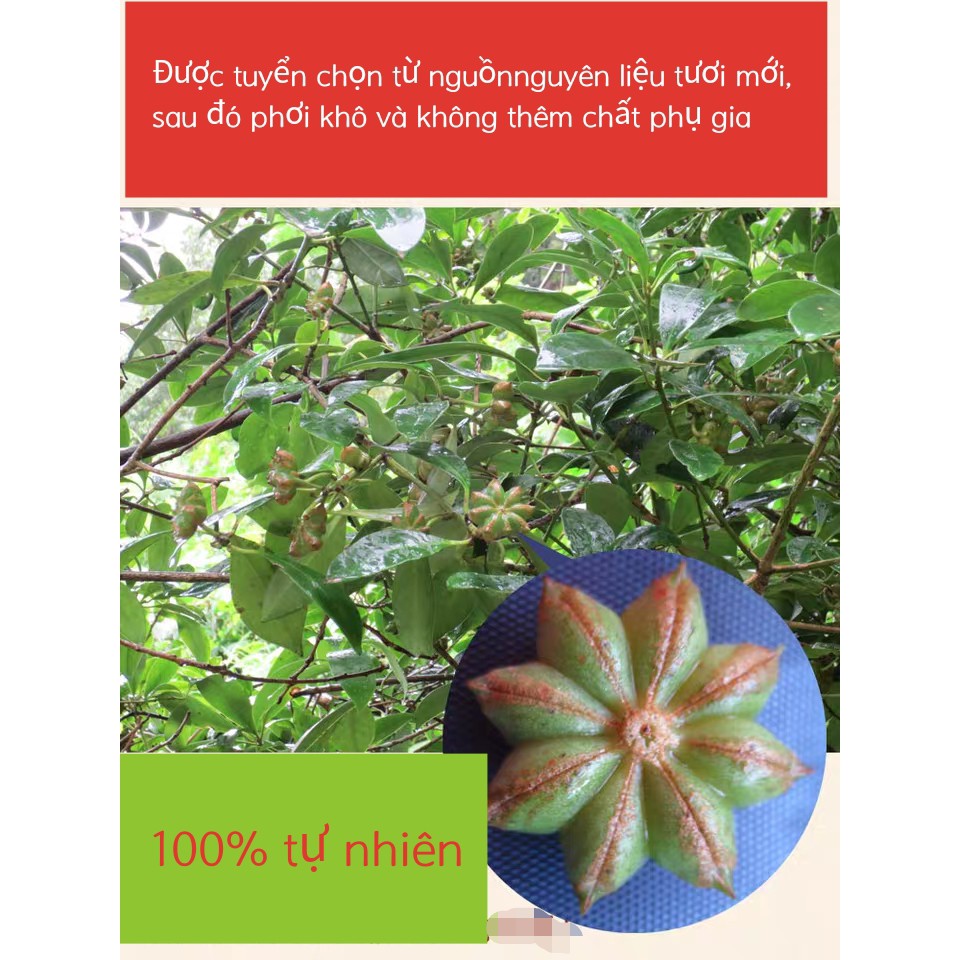 100gr- Hoa hồi/ Đại hồi/ Tai vị/ Star anise