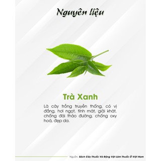 TRÀ XANH  -  Hùng Phát