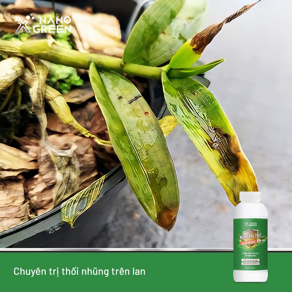 Nano bạc Nano Xgreen cung cấp dưỡng chất, tăng đề khoáng, hỗ trợ cho cây có triệu chứng vàng lá, thối rễ 1000ml