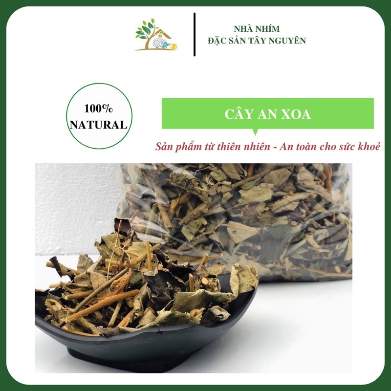 CÂY AN XOA HỖ TRỢ GAN, GAN NHIỄM MỠ