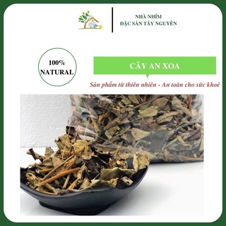 Cây an xoa hỗ trợ gan, gan nhiễm mỡ