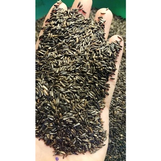 Hạt niger hàng Bỉ gói 100g