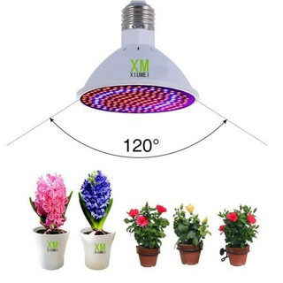Bóng đèn LED trồng cây E27 26W 200 SMD