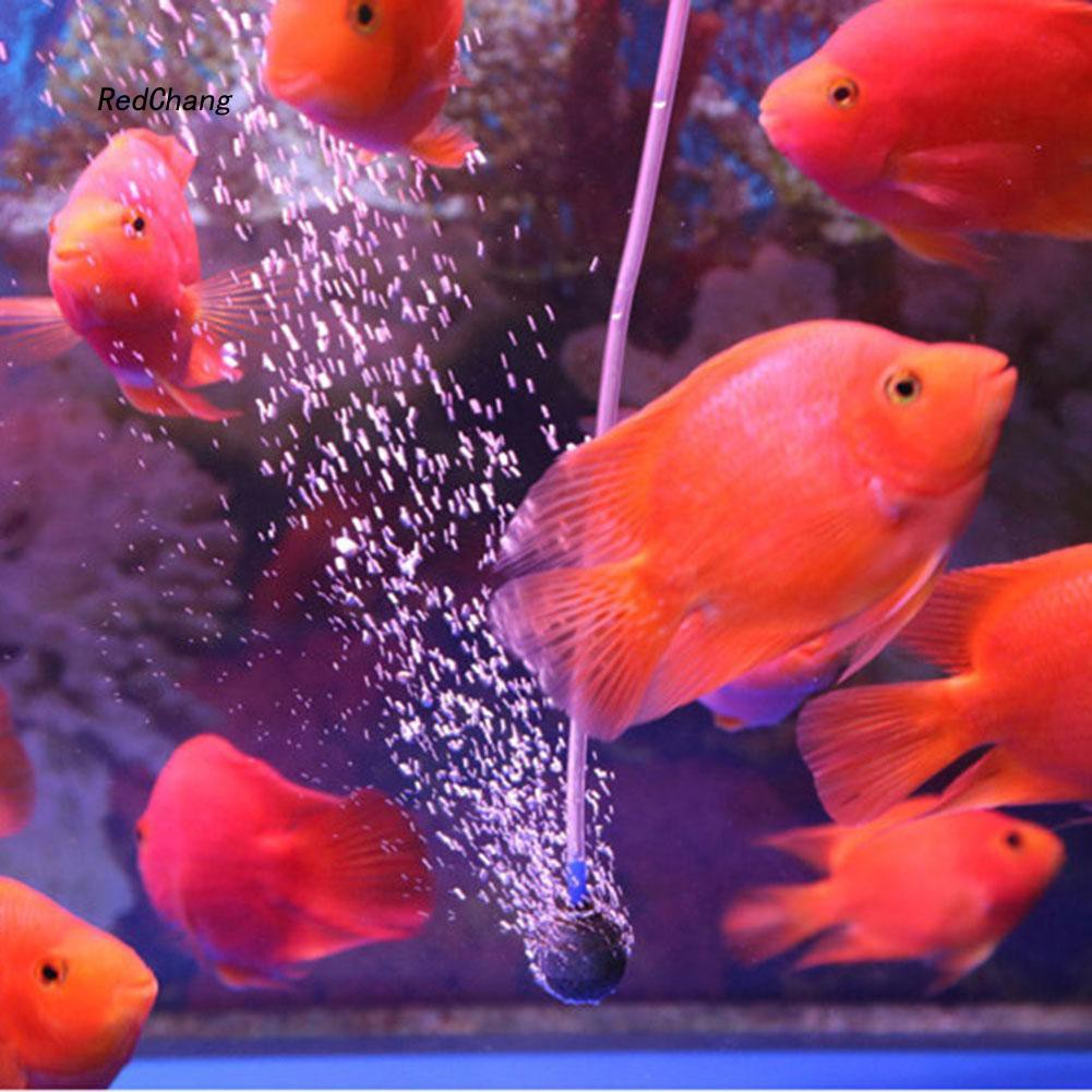 Đá bơm khí oxy cho bể cá thủy sinh