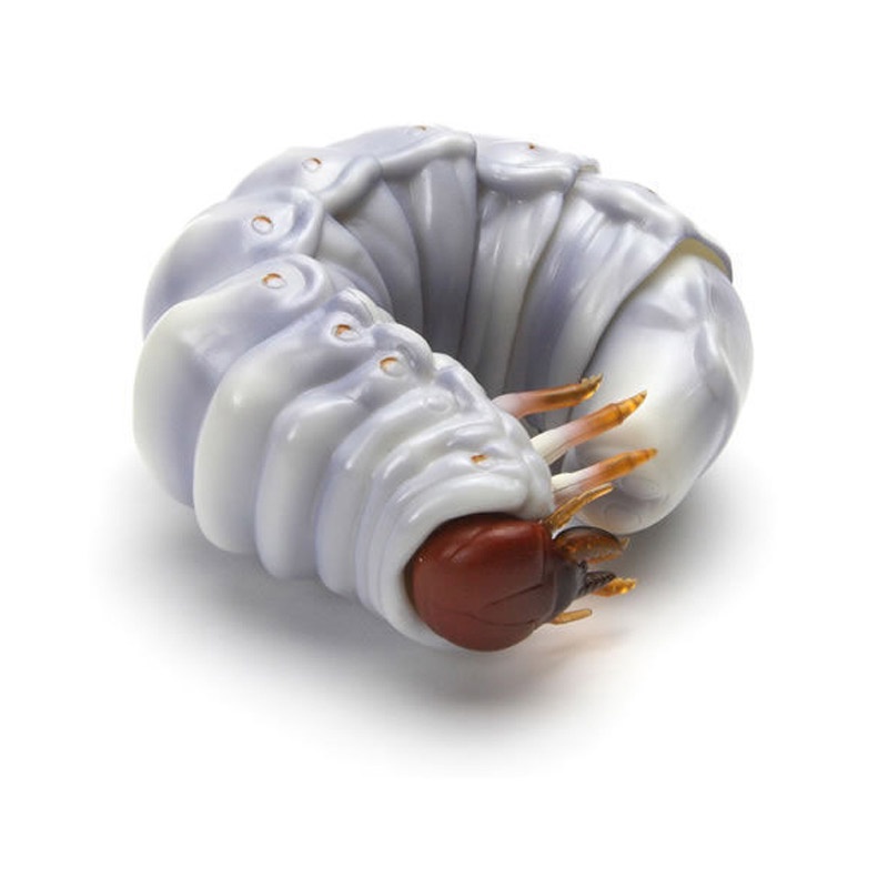 Mô Hình Côn Trùng Sinh Học Bandai Gashapon 02