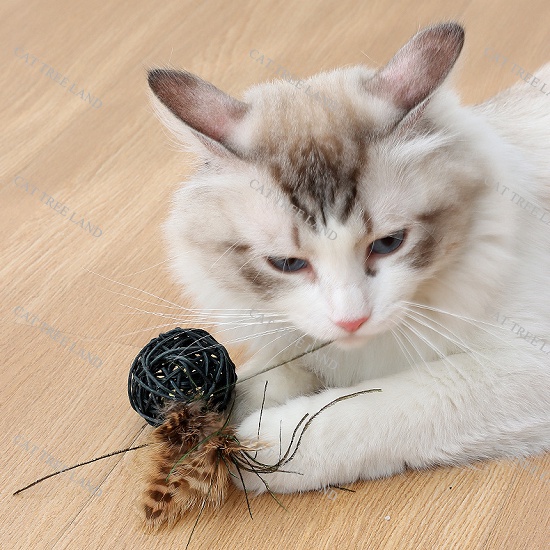 ĐỒ CHƠI CHÓ MÈO VỜN BẮT, BÓNG ĐAN BẰNG MÂY CÓ LÔNG VŨ,CHUÔNG LỤC LẠC