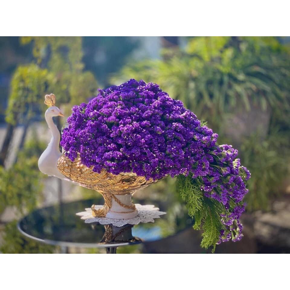 Con Công Cắm Hoa Giá Rẻ Tháng 9,2023|Biggo Việt Nam