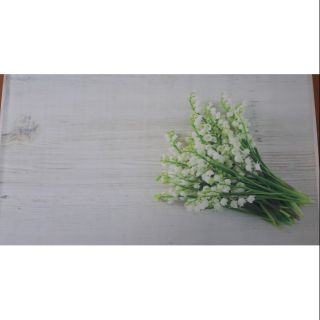 Thảm chụp ảnh 3d kt 80x120cm