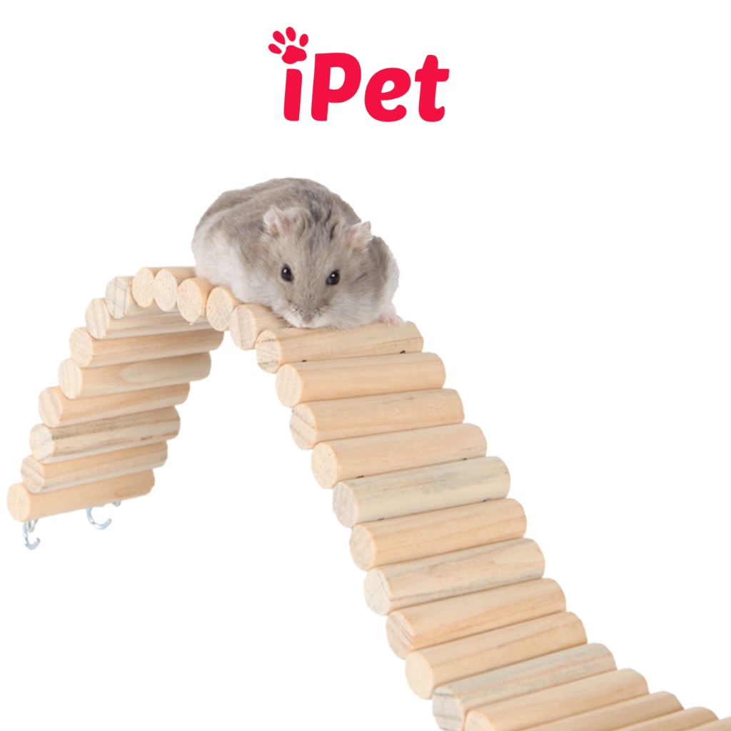 Cầu Thang Gỗ Uốn Nhiều Màu - Phụ Kiện Chuồng Cho Hamster, Sóc, Nhím - iPet Shop