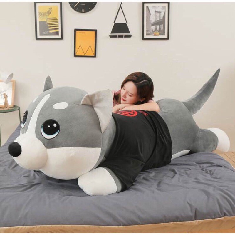Gấu Bông Chó Husky, Mèo Husky Siêu Yêu