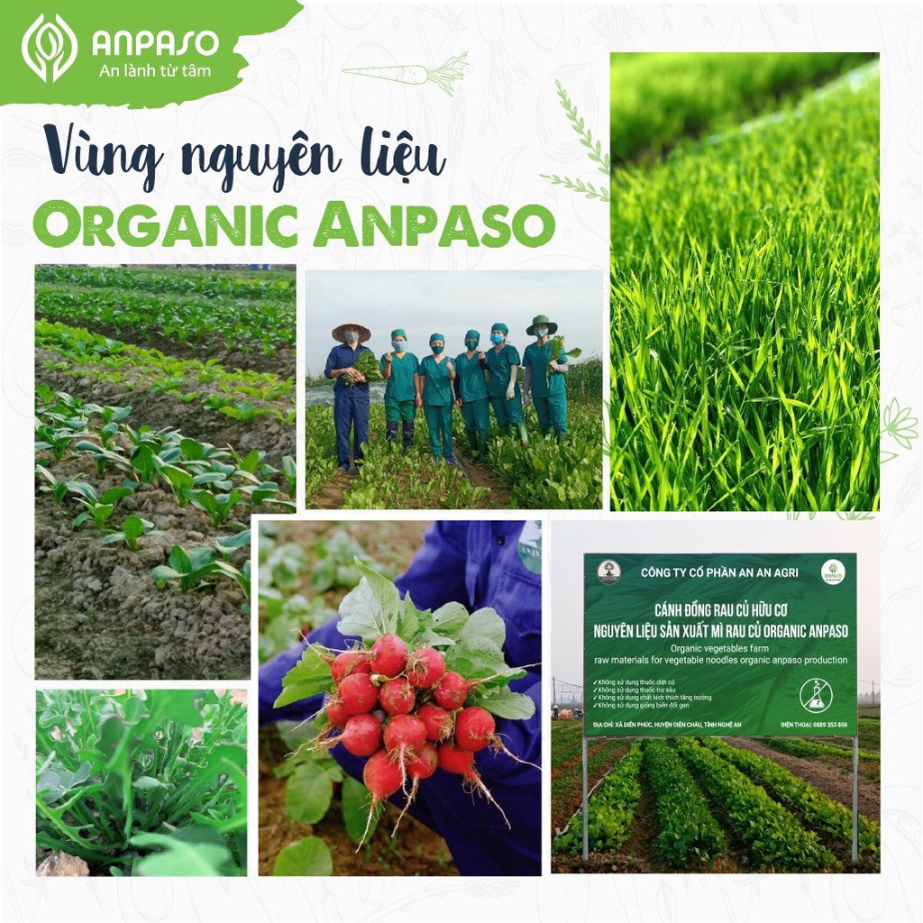 Mì rau củ organic cho bé 6M+ Anpaso