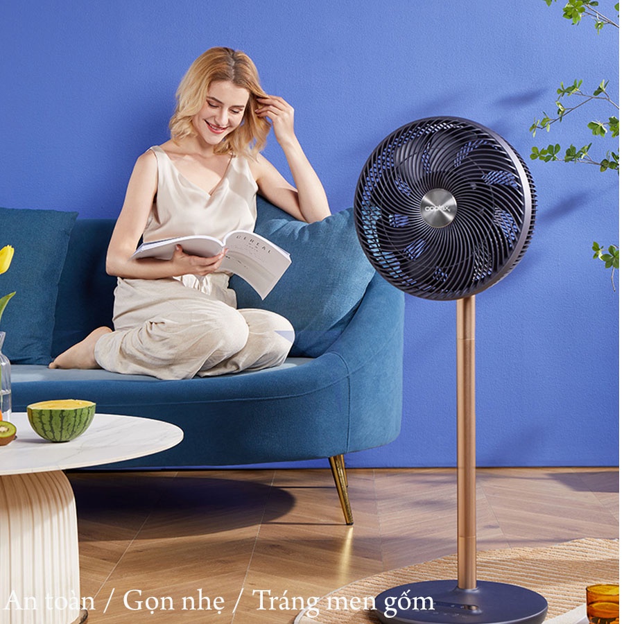 Quạt cây thụy sỹ, quạt cây mát, quat cay thuy si