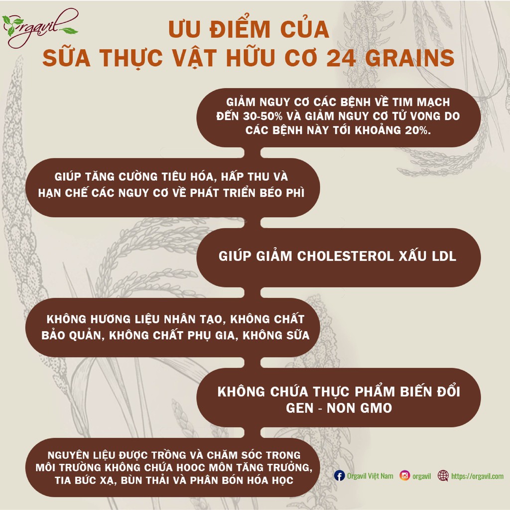 Sữa Công Thức Thực Vật Hữu Cơ 24 Grains vị cacao 700g - Sữa Hạt Hữu Cơ Bổ Sung Omgega 369 - Orgavil