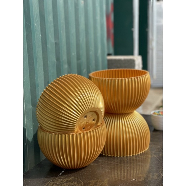 Chậu Gân sọc để bàn màu Vàng Đồng derco siêu siêu đẹp ạ - Ảnh thật