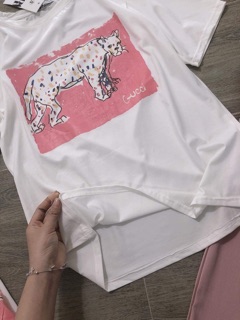Sét áo cotton+ quần bagyy