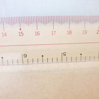 Thước Dẻo 20cm Điểm 10 TP-SR022