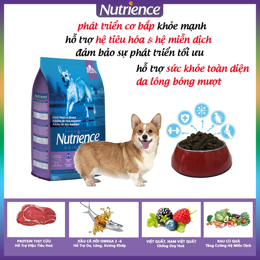 [Nhập Khẩu Canada] Thức Ăn Cho Chó Corgi Nutrience Original Bao 5kg Da Lông Bóng Mượt - Thịt Cừu, Rau Củ, Trái Cây