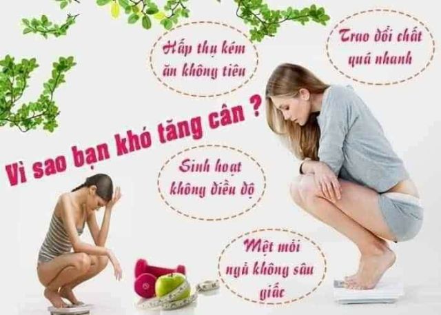 Sữa dành cho người gầy