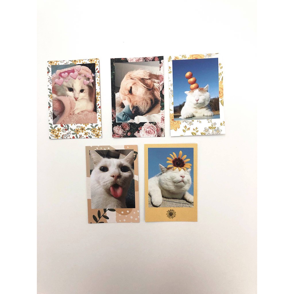 In Ảnh Polaroid Theo Yêu Cầu - Ảnh Viền Hoa