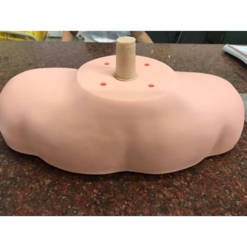 Vai cắm đầu manacanh