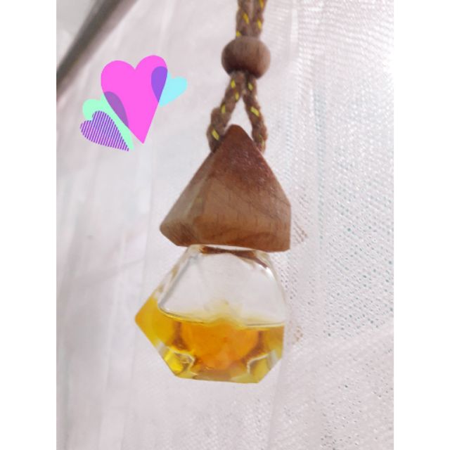 Vỏ Lọ treo xe