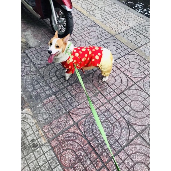 ÁO CHÓ MÈO CÓ SIZE LỚN - ÁO DÀI TRUYỀN THỐNG